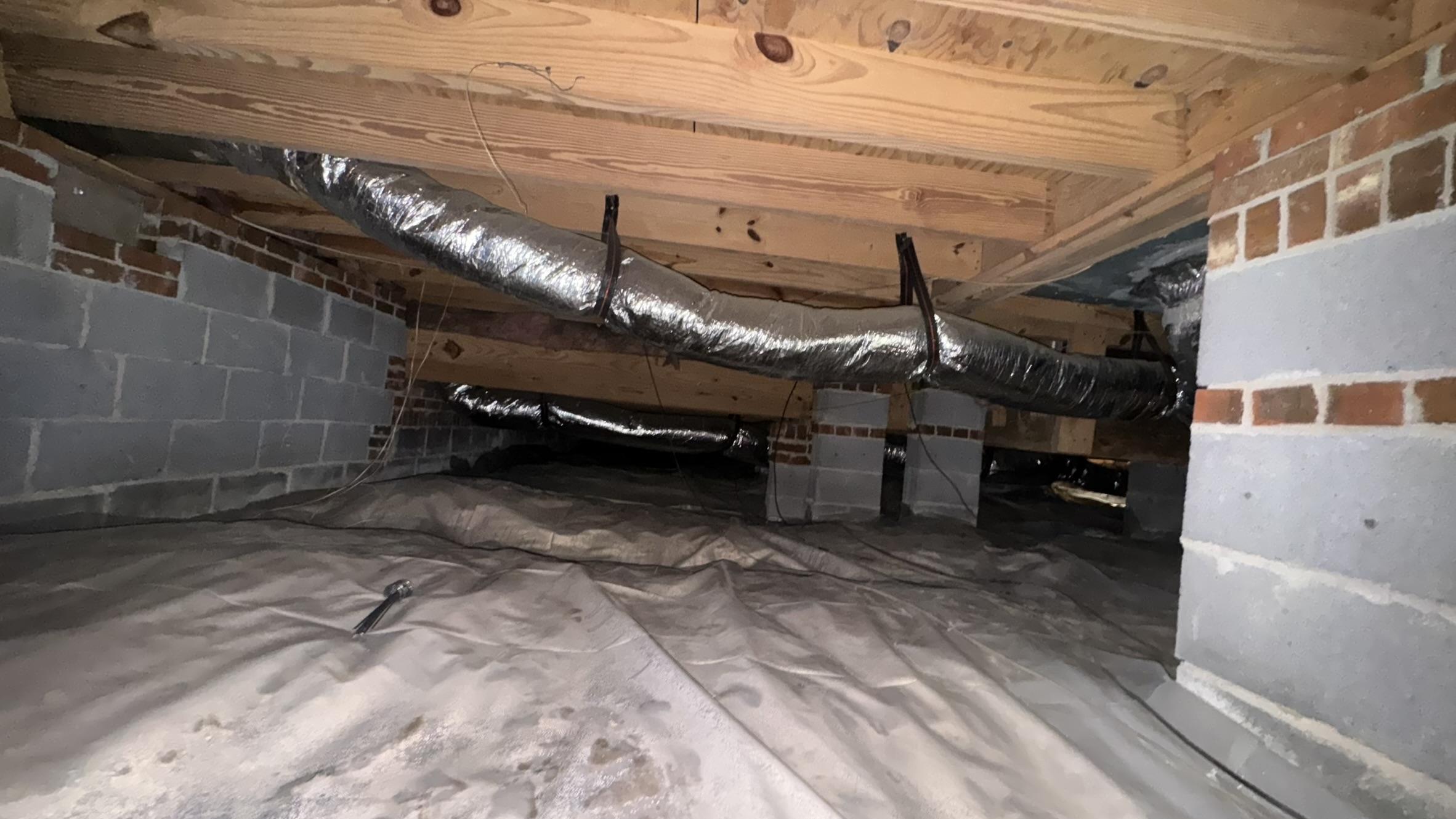 Crawl space moisture damage