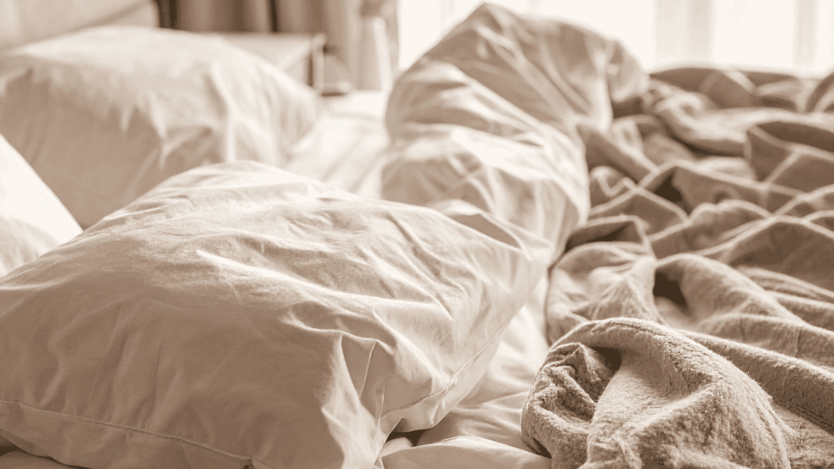 Bed Bug Treatment in Anderson Creek, NC
