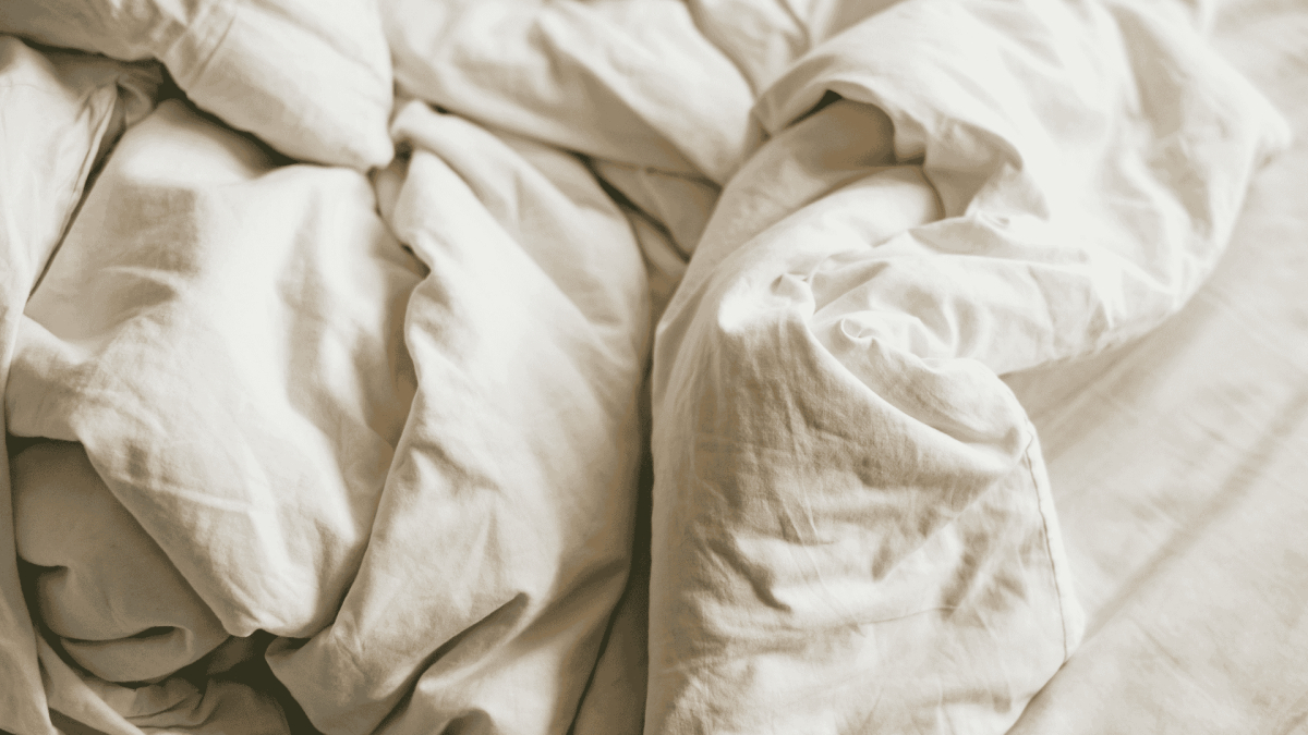 Bed Bug Treatment in Lillington, NC