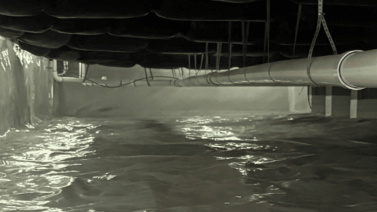 Crawl Space Moisture Control in Spout Springs, NC