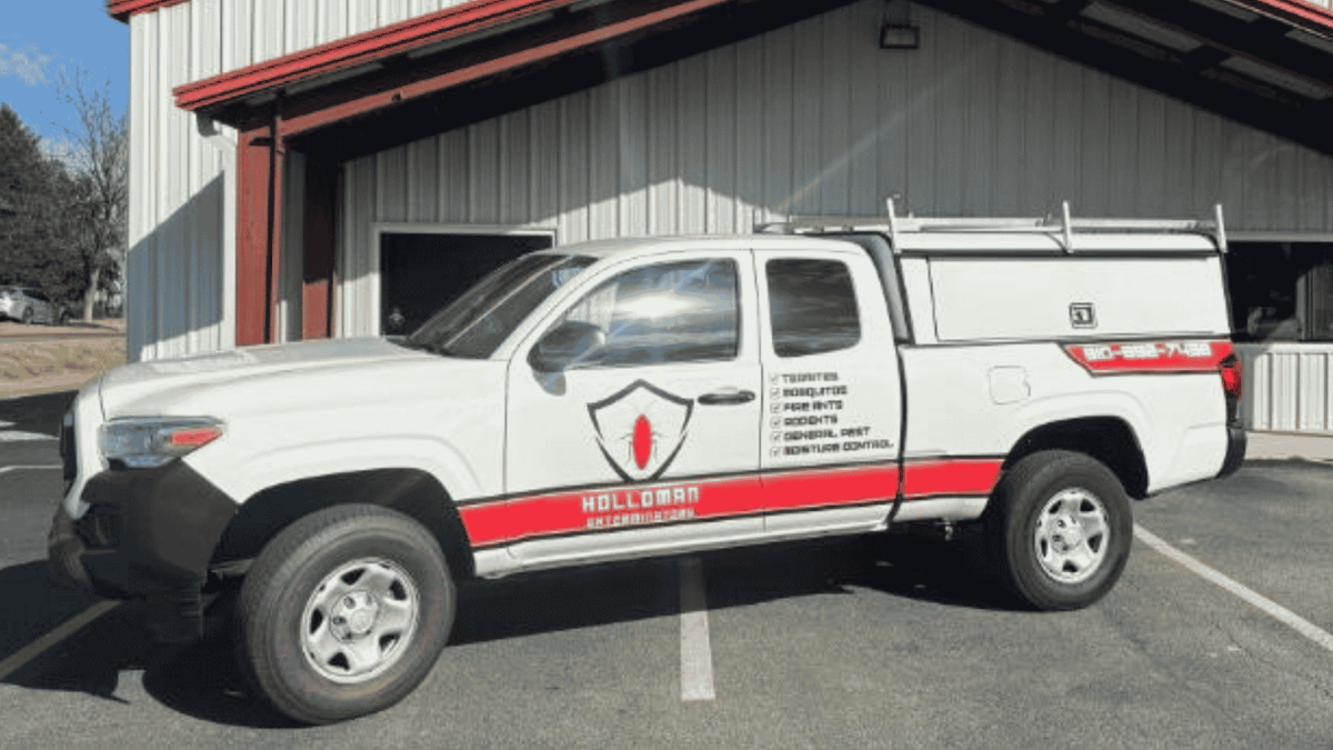 Pest Control in Angier, NC 