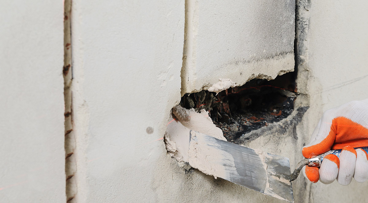 Rodent Exclusion: How Pros Keep Mice and Rats Out for Good