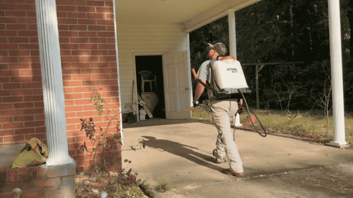 Termite Control in Lillington, NC 